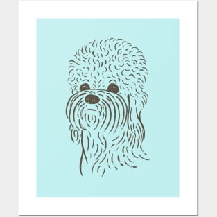 Dandie Dinmont Terrier (Blue and Khaki) Posters and Art